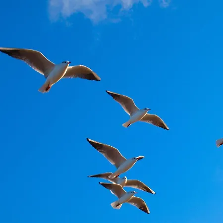 Kolobrzeg, Aqua Sol Polanki Park, 300 M, Schwimmbad, Fitness, Parkplatz, Terasse Apartman *